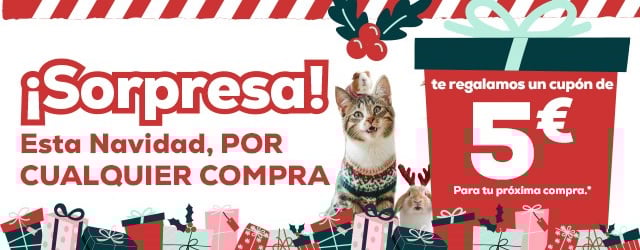 Compra durante el mes de diciembre y te regalamos -5€ pra tu próxima compra
