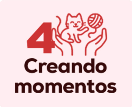 Todo lo necesario para crear momentos junto a tu gatito