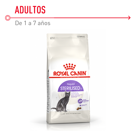 Royal Canin Regular Sterilised 37 pienso para gatos esterilizados
