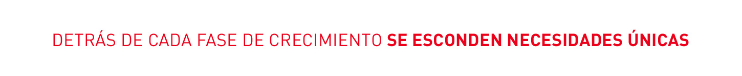 En cada  fase de crecimiento se esconden necesidades únicas