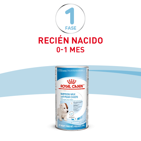 Recién nacido: 0-1 mes