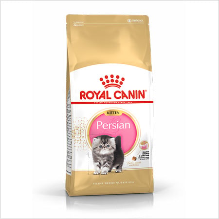 Royal Canin Kitten Persian pienso