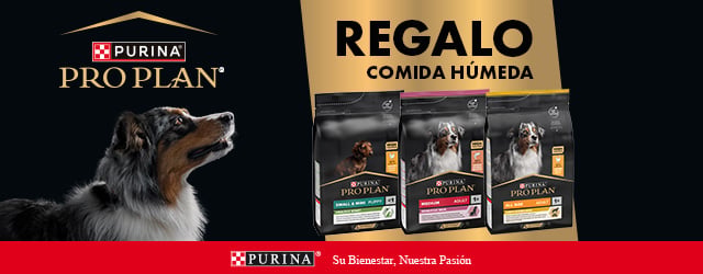 Purina Pro Plan: Húmedo de regalo con selección de pienso para perro Purina Pro Plan: Húmedo de regalo con selección de pienso para perro