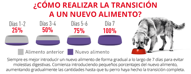 Cómo realizar la transición a un nuevo alimento