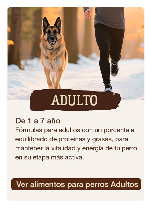 True Origins para perros adultos