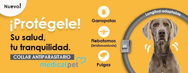 Bandeja sanitaria hot sale para perros kiwoko