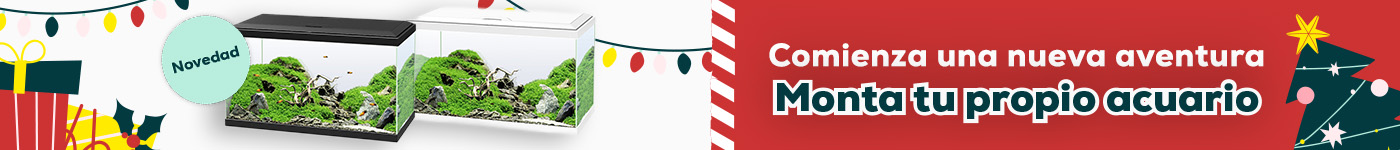 Nuevos acuarios. Comienza la aventura