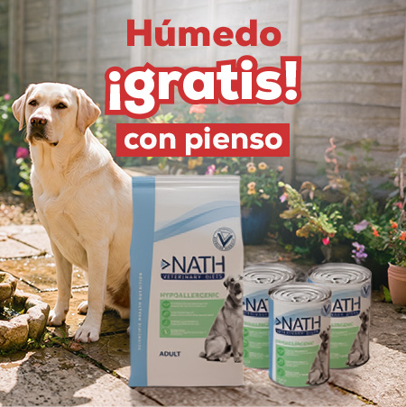 Húmedo de regalo en selección de pienso veterinario para perro