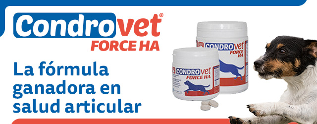 Condrovet: La fórmula ganadora en salud articular