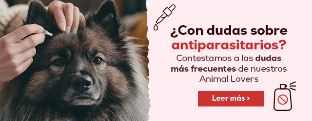 Contestamos a dudas sobre antiparasitarios