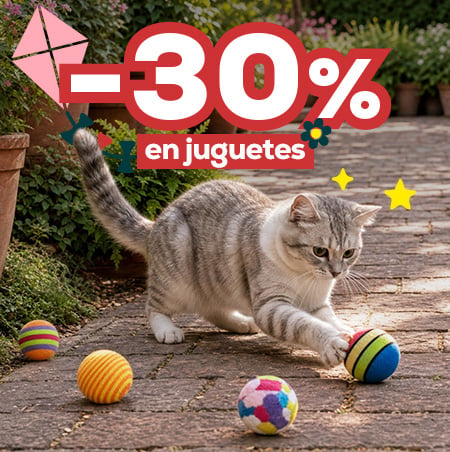 -30% en selección de juguetes