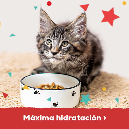 Máxima hidratación
