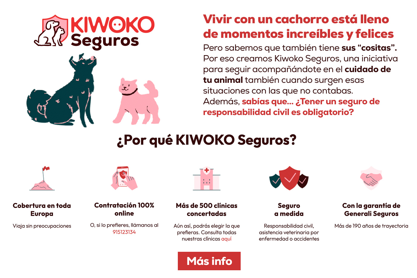 Seguros Kiwoko. Encuentra el que mejor se adapta a ti y a tu gatito. 