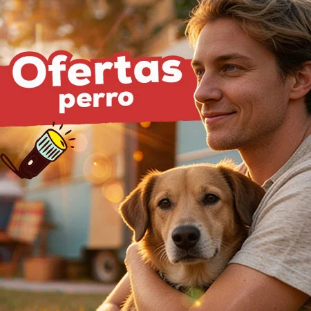 Ofertas para perro
