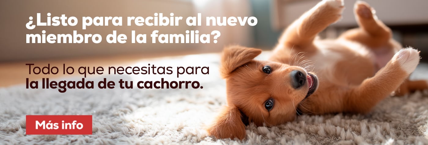 Checklist con todo lo necesario para los primeros días del cachorro