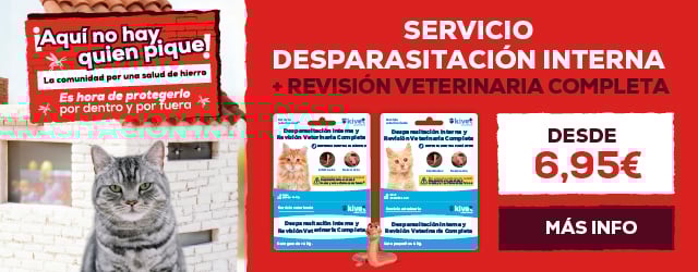 Servicio desparasitación interna más revisión veterinaria completa para gato