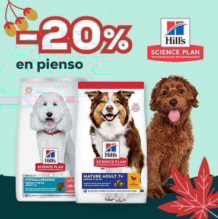 Hill's: -20% en selección de pienso para perro Hill's: -20% en selección de pienso para perro