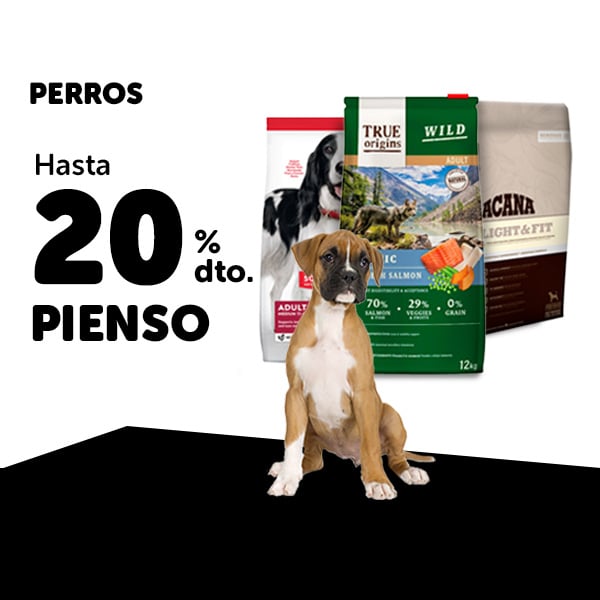 Advance de Affinity Pienso para perros Kiwoko