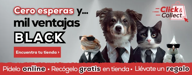Click & Collect en el Black Friday