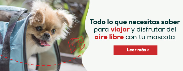 Viajes y aire libre con tu mascota