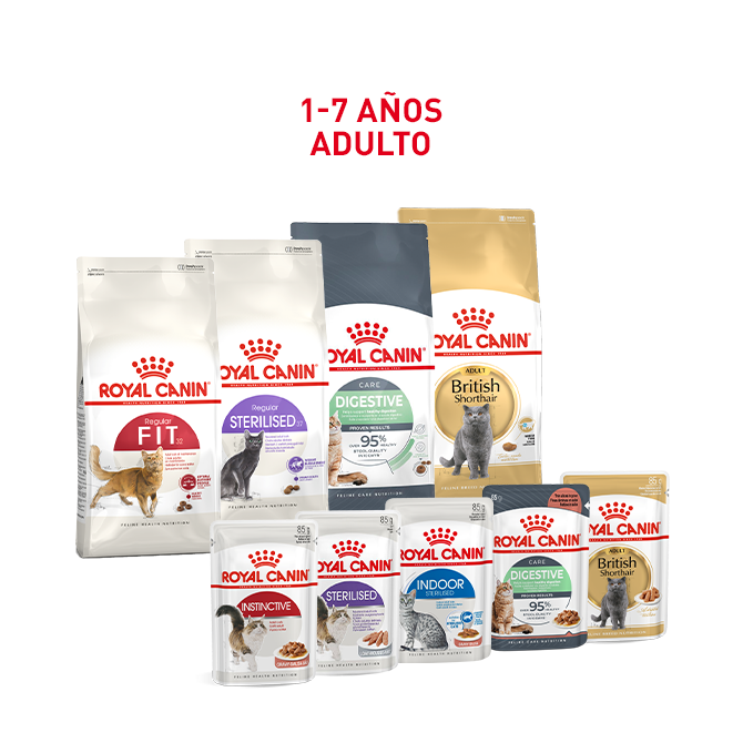 Descubre la gama para Gato Adulto