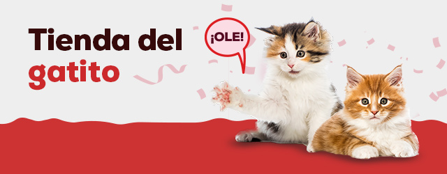 Gatito: Todo lo que necesitas para darle la bienvenida