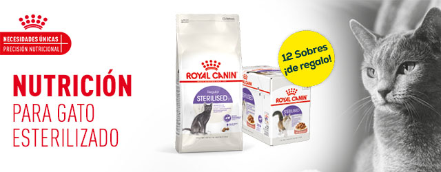 Royal Canin: Hasta 12  bolsitas de regalo con selección de pienso para gato esterilizado