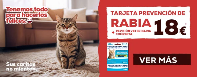 Tarjeta prevención de rabia más revisión veterinaria completa 18€ para gato