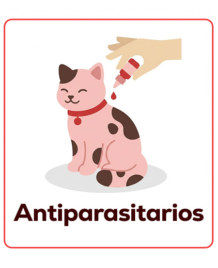 Antiparasitarios para gatitos