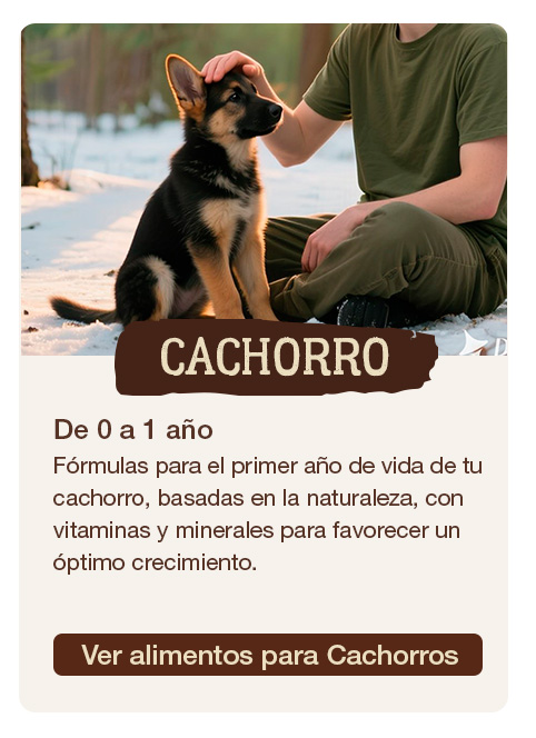 True Origins para cachorros