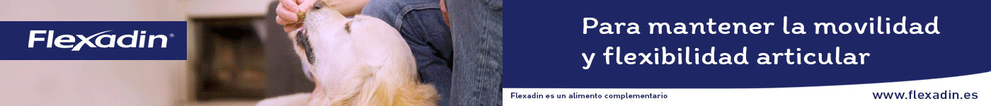 Flexadin: Ayuda a mantener sanas articulaciones en perros