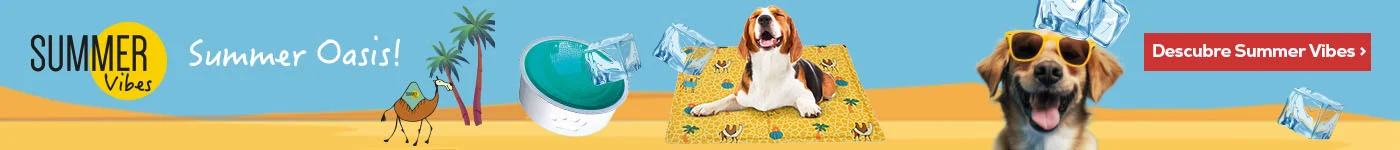 Summer Vibes: Los productos más refrescantes de la nueva colección de verano para perro