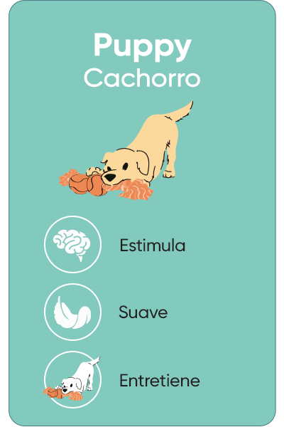 Puppy - Juguetes suaves y delicados para cachorros