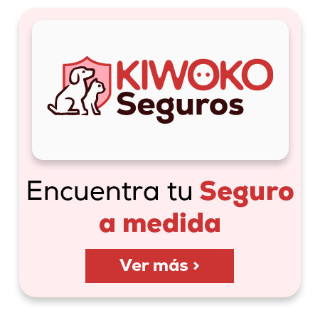 Seguros kiwoko. Encuentra tu seguro a medida Seguros kiwoko. Encuentra tu seguro a medida