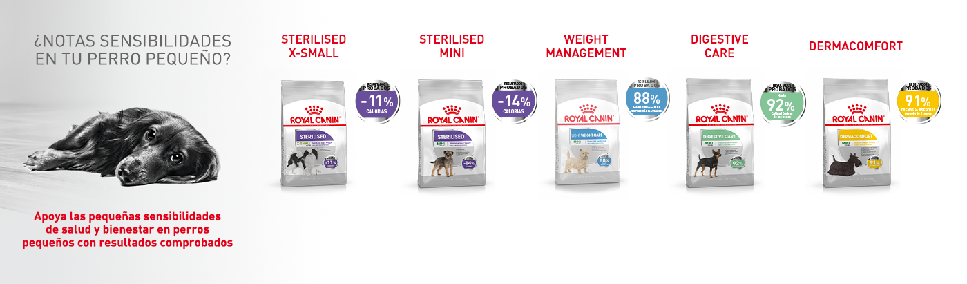 Gama Royal Canin Sensibilidades para perros de razas pequeñas. Productos que apoyan sus sensibilidades y bienestar