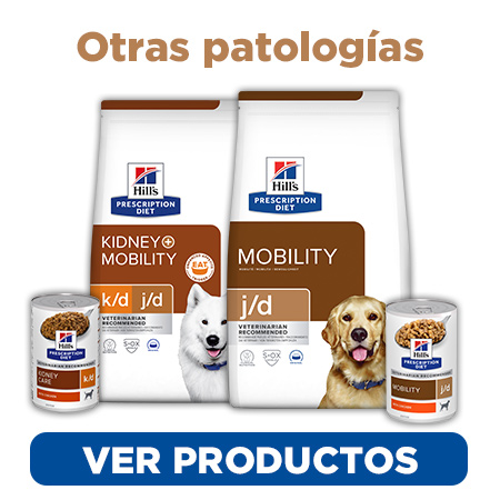 Una nutrición clínica para perros con enfermedades comunes (y no tan comunes) 