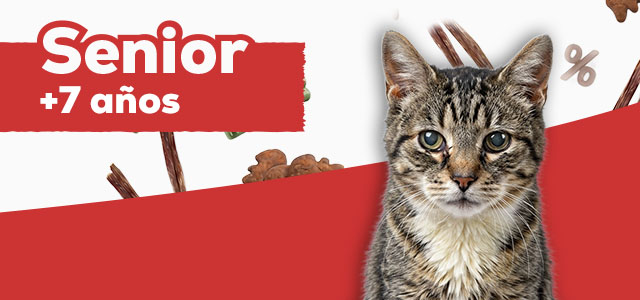 Snacks para gato senior de más de 7 años