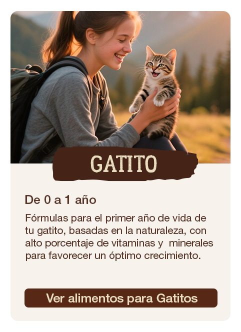 True Origins para gatitos. De 0 a 1 año.