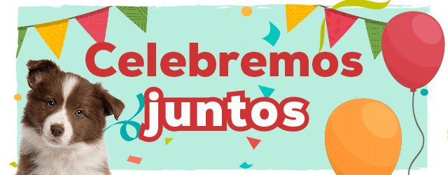 19 Aniversario: Hasta -50% en selección de accesorios para perro