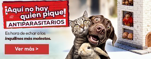 Antiparasitarios: Es hora de protegerlos de las pulgas, garrapatas, flébotomos...