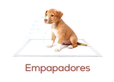 Empapadores para enseñarle a hacer sus necesidades los primeros meses