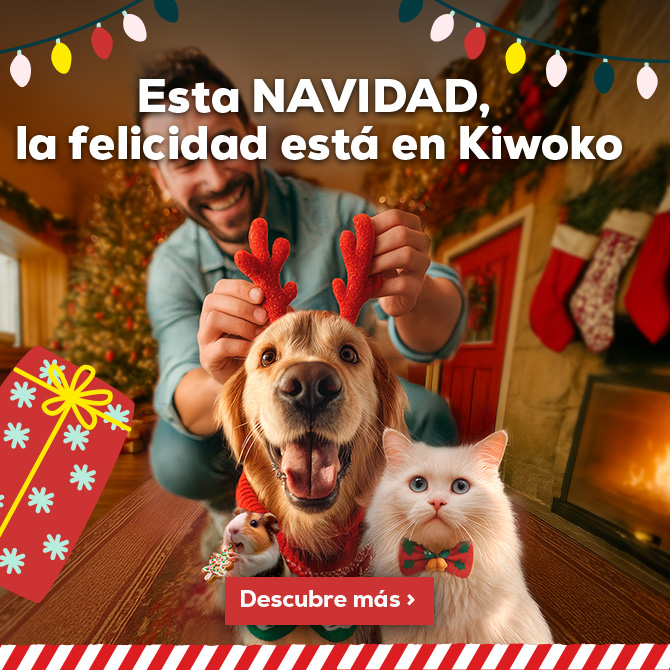 Toda la magia de la Navidad está en Kiwoko