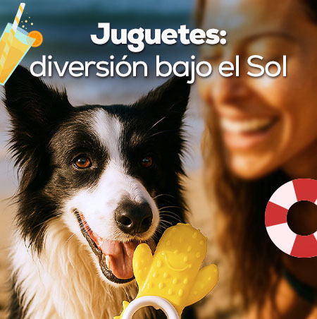 Juguetes: Diversión bajo el sol