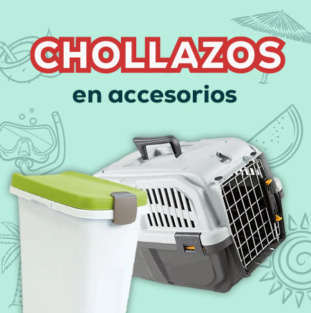 Chollazos en accesorios para perro
