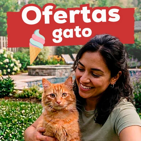 Ofertas para gato