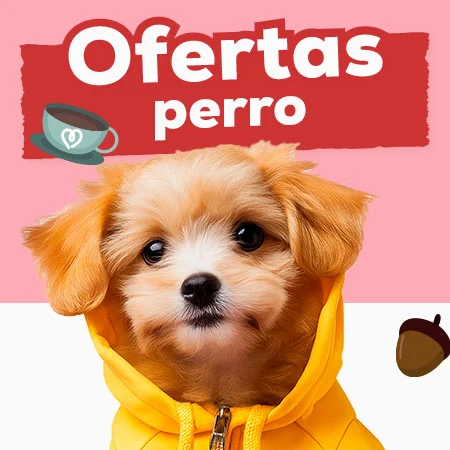 Ofertas para perro Ofertas para perro
