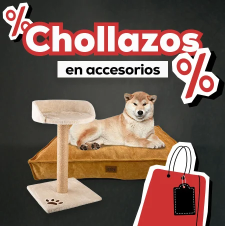 Los chollazos del Black