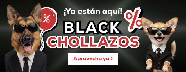 Chollazos en el Black Friday para perro