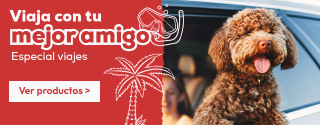 Especial viajes: Viaja con tu mejor amigo