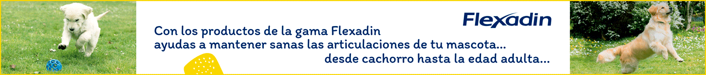 Flexadin